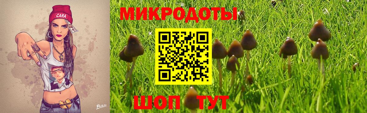 Псилоцибиновые грибы Psilocybine cubensis  Вход с VPN  Псилоцибиновые грибы Magic Shrooms  продажа наркотиков  Дедовск 